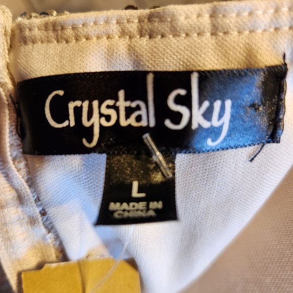 Crystal Sky Sequin Mini Dress - Picture 5 of 5